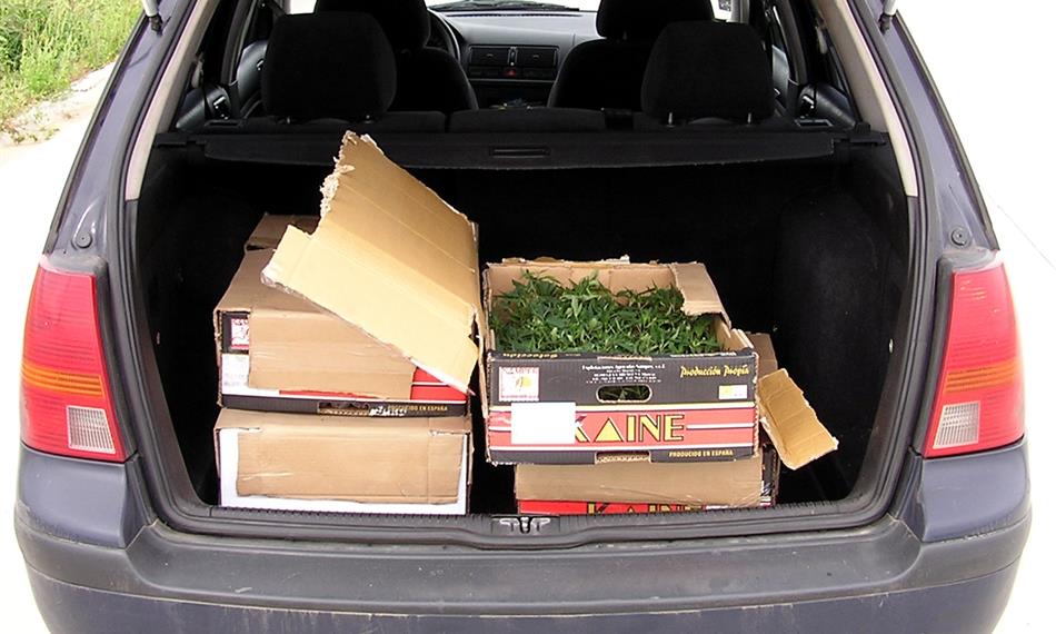 2010-8-26-1245foto 01.JPG